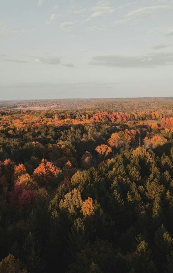 fall-scenic